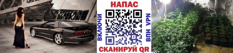 Где купить Тайшет ссылка на мегу маркетплейс  Мефедрон  Гашиш  Конопля  АМФ 