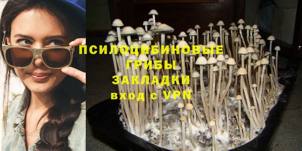 молекула духа Семилуки