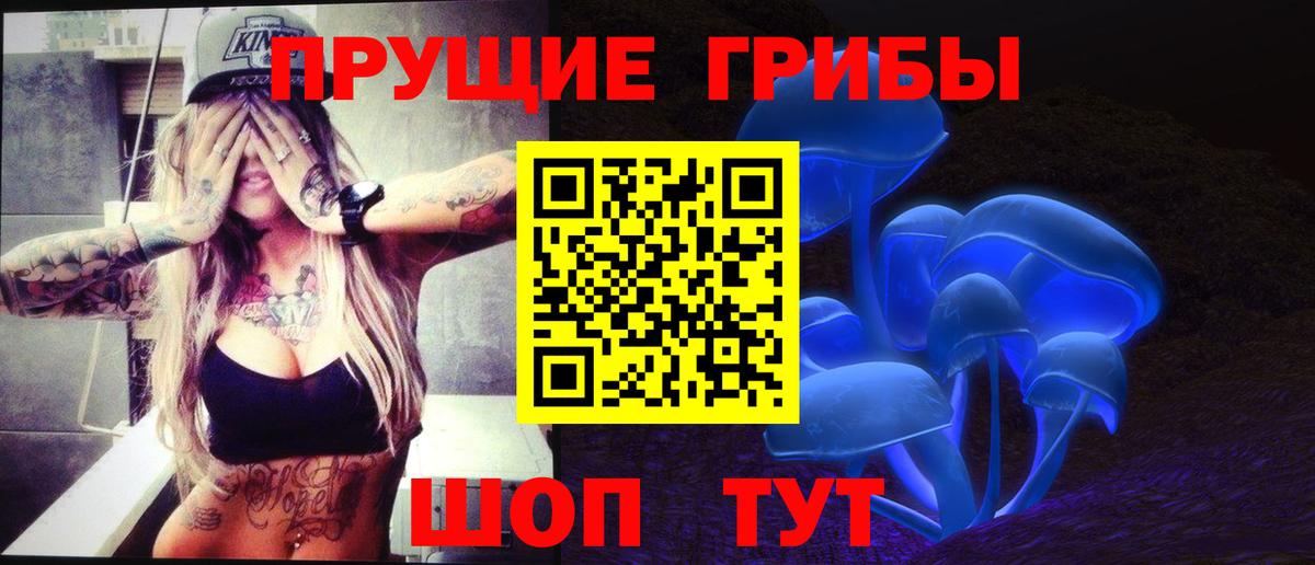 Псилоцибиновые грибы мицелий  Вход с VPN  Тайшет  Галлюциногенные грибы ЛСД 